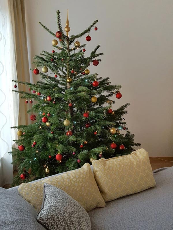 kaisertanne-normdanntanne-kundengalerie-tanne-vk-600x800