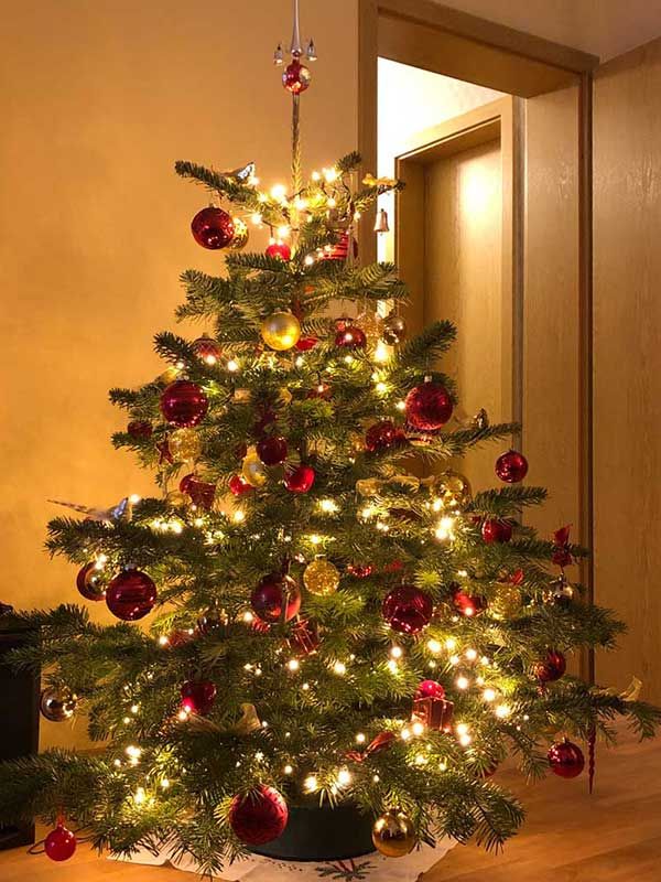 kaisertanne-normdanntanne-kundengalerie-renate-m-berlin-600x800