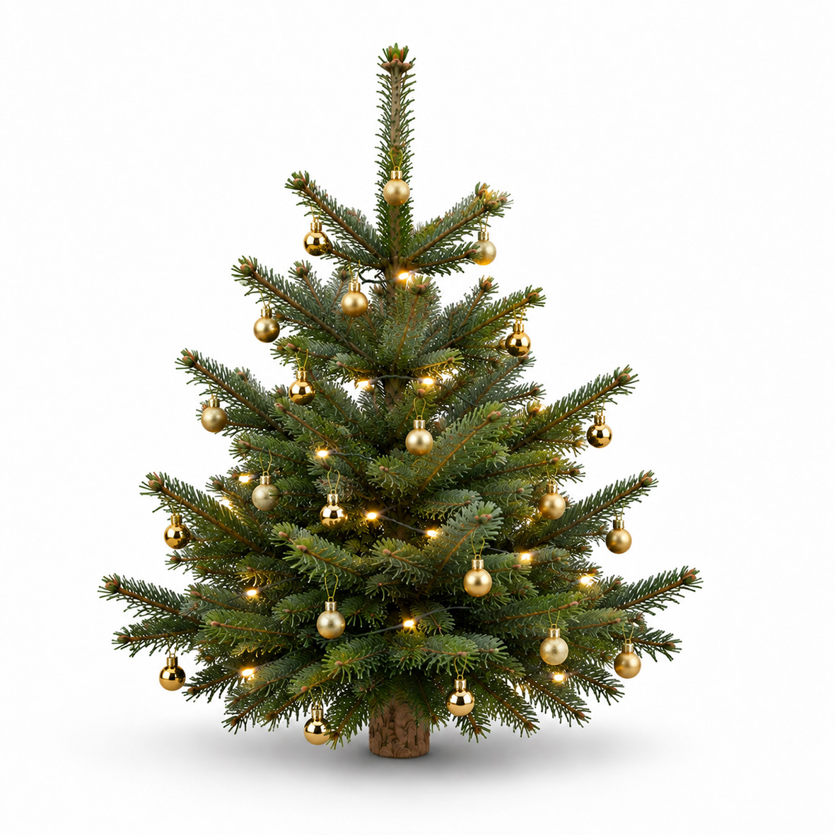 Komplett Angebot Prem. Nordmanntanne 1A Sort. 0,90m - 1,15m GOLD