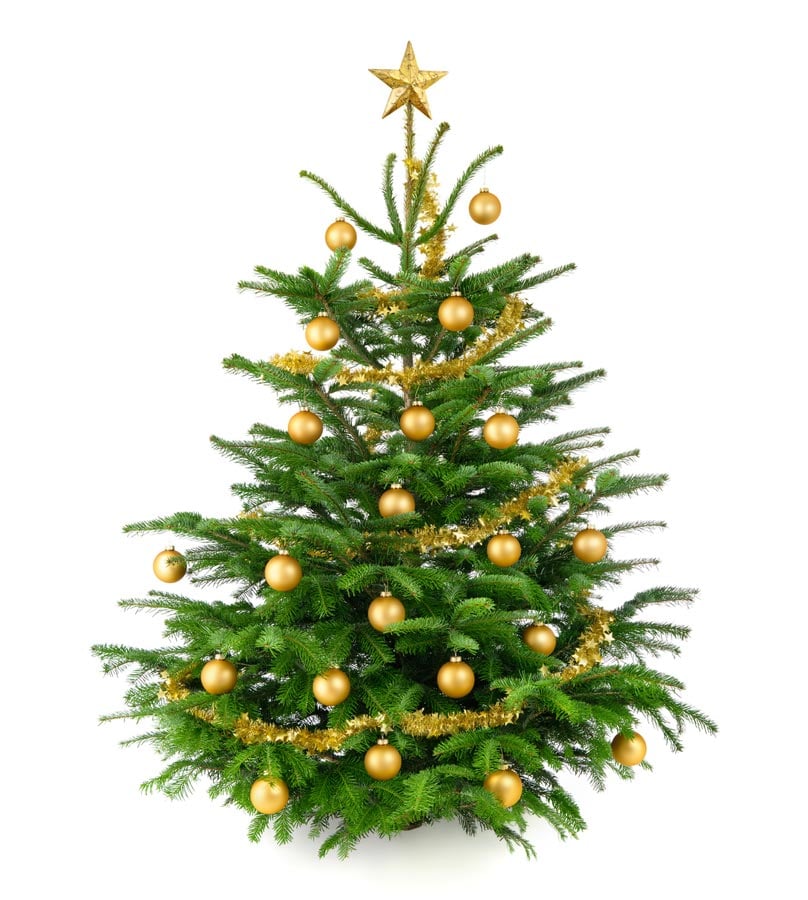 Komplett Angebot Premium Nordmanntanne 1A 0,90m - 1,15m  Weihnachtsbaum Sortierung - Kugelfarbe wählbar
