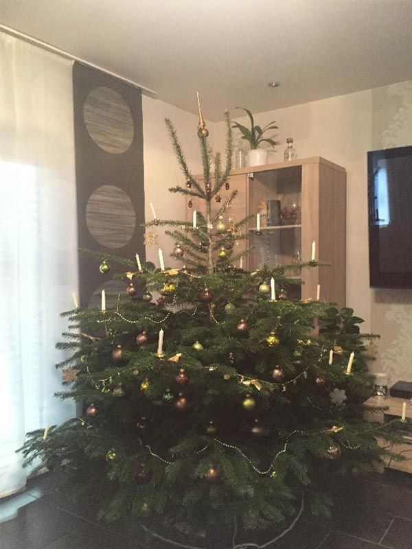 kaisertanne-normdanntanne-kundengalerie-7583-600x800