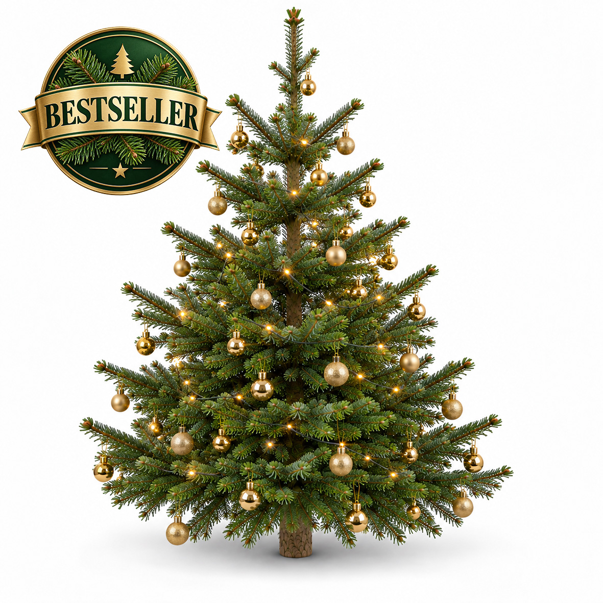 Komplett Angebot Prem. Nordmanntanne 1A Sort. 1,65m - 2,00m GOLD