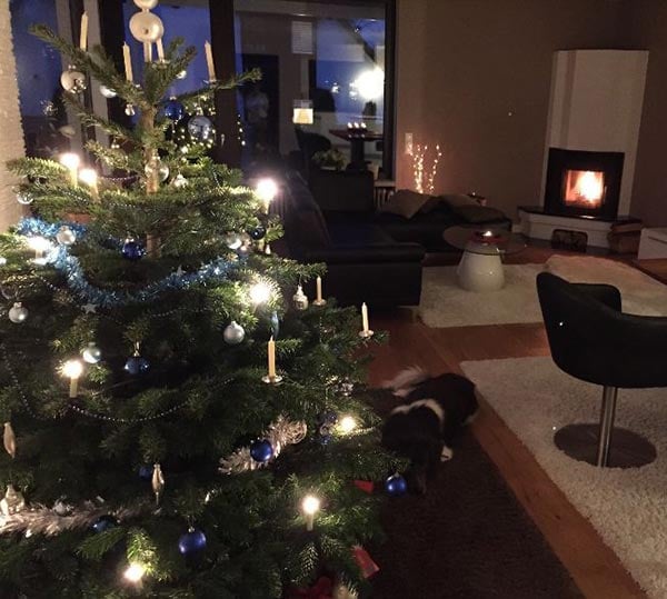 kaisertanne-normdanntanne-kundengalerie-stahl2-600x539