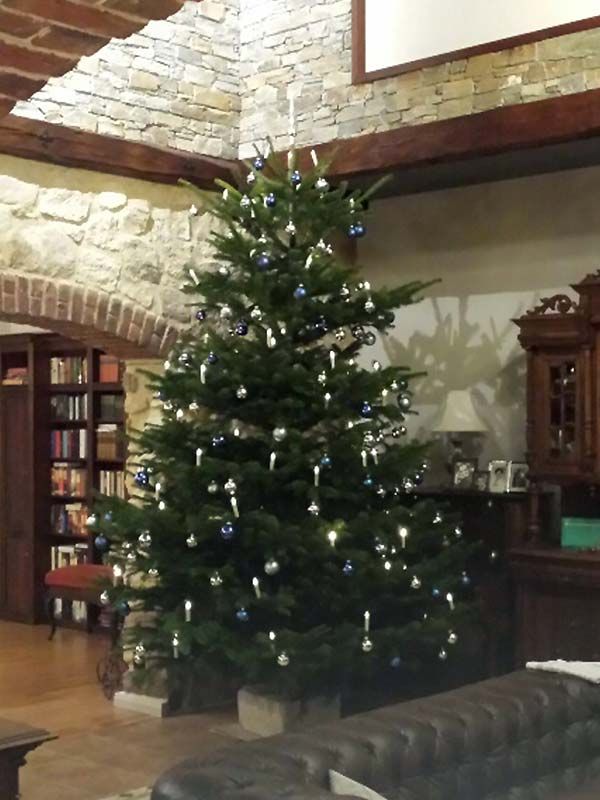 kaisertanne-normdanntanne-kundengalerie-ulrich-m-hartha-600x800