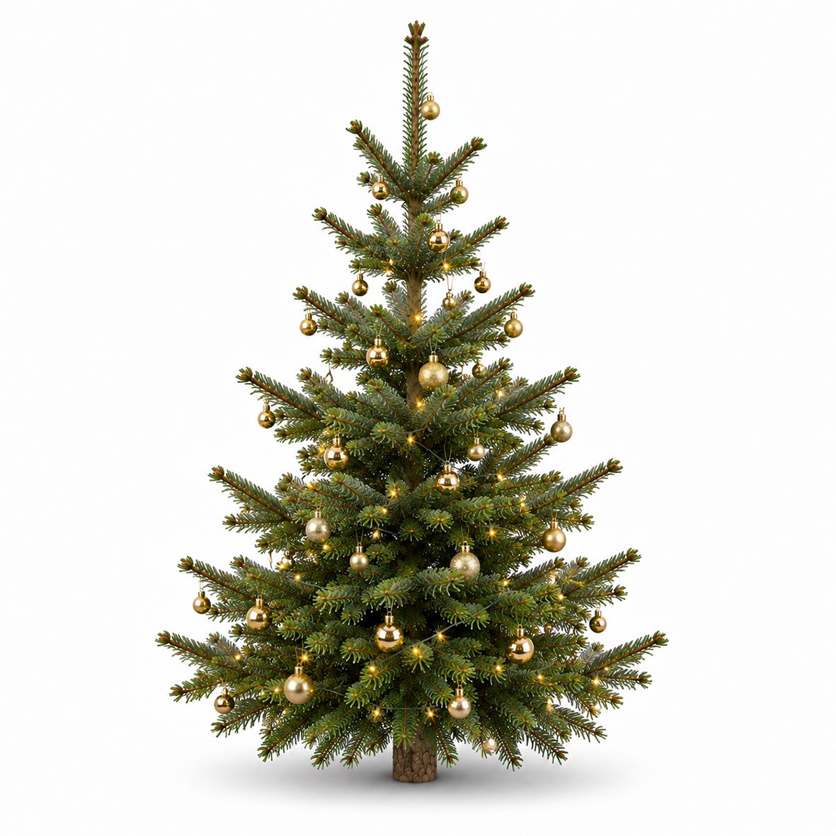 Komplett Angebot Prem. Nordmanntanne 1A Sort. 1,40m - 1,65m GOLD