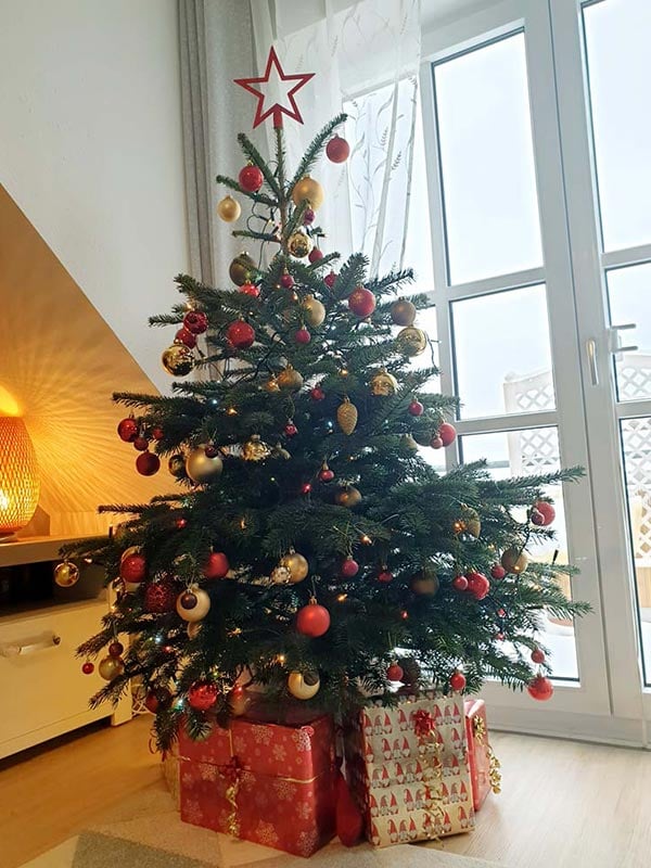 kaisertanne-normdanntanne-kundengalerie-dennis-s-mn-19-12-2022-600x800