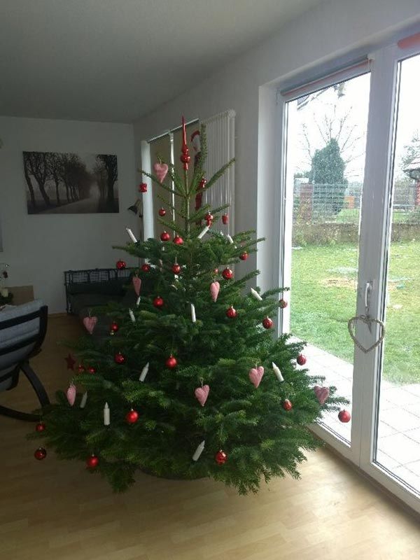 kaisertanne-normdanntanne-kundengalerie-8598-600x800