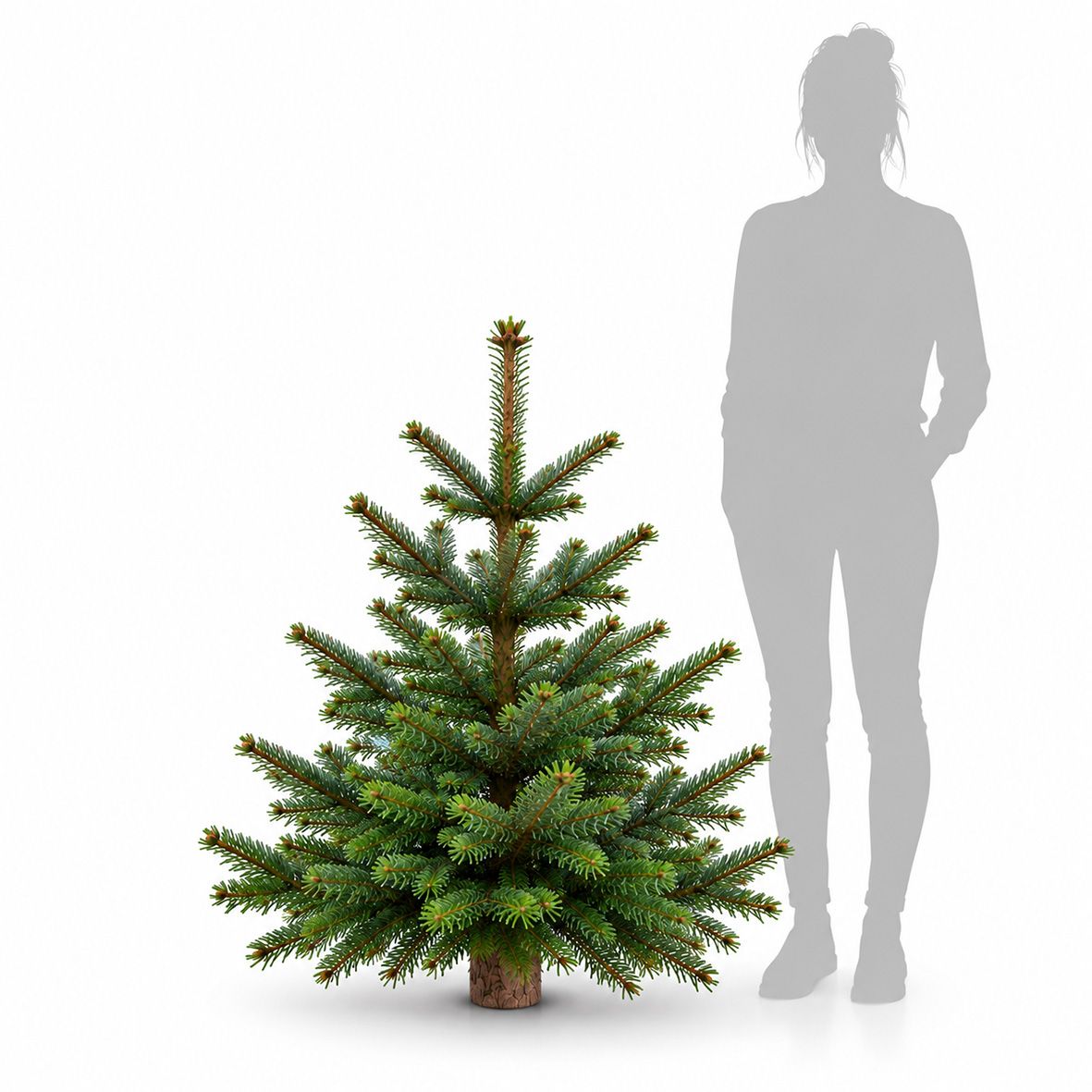 Premium Nordmanntanne 1A Sortierung 0,90 - 1,15 m 2