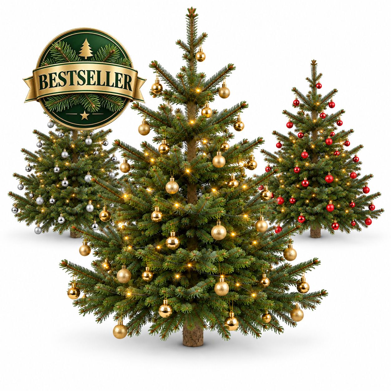 Komplett Angebot Prem. Nordmanntanne 1A Sort. 1,65m - 2,00m GOLD