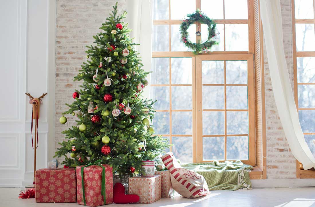 Premium Nordmanntanne Produkte